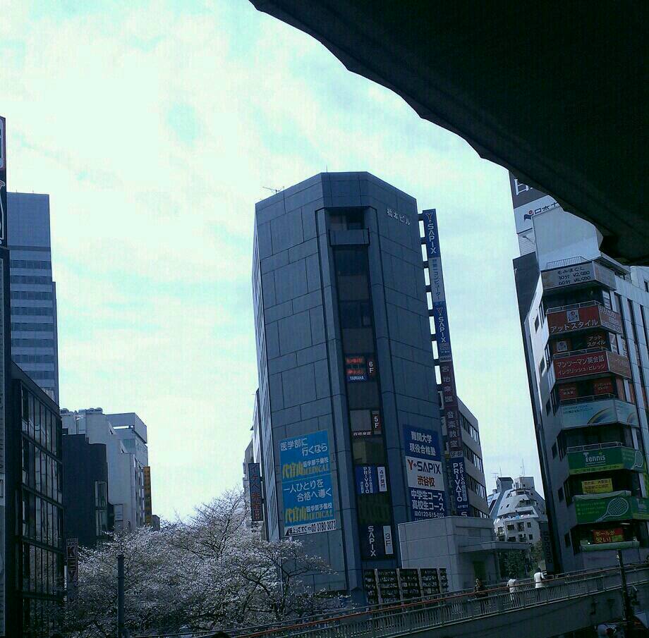 【渋谷店の日々】雨で散る前に…